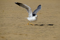 Testfotos Fuji XF 100-400